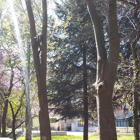 Russalka فندق 2*